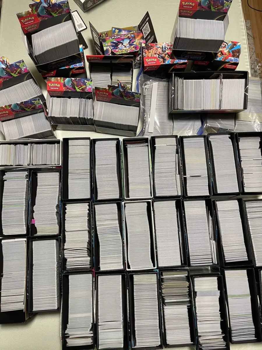 Rows of boxes filled with trading cards.